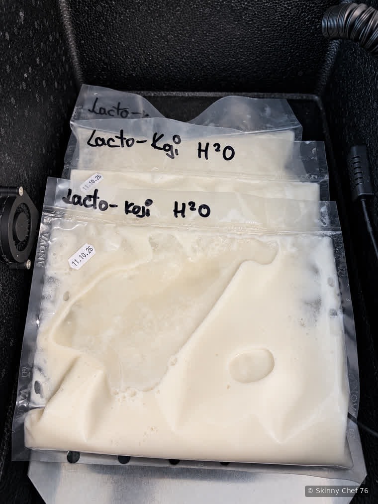 Lacto-Koji Wasser · Alessandro Casula
