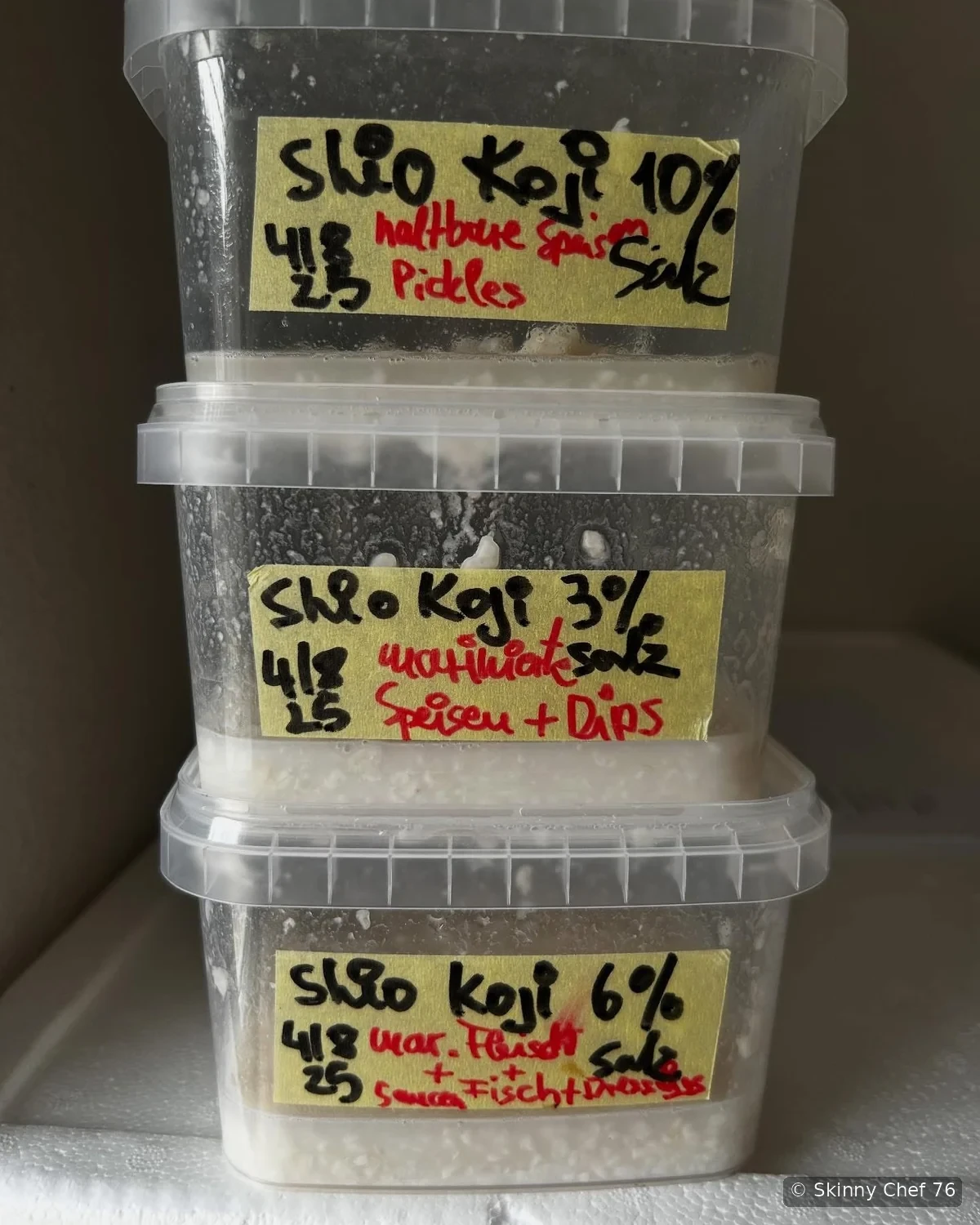 Shio Koji · Alessandro Casula