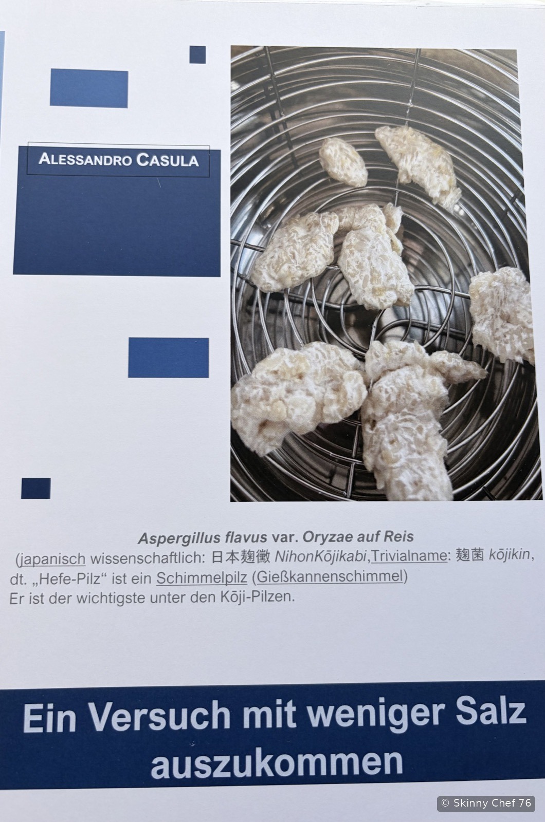 Originale Titelseite des Prüfungsportfolios mit Reis-Koji im Fermentierer