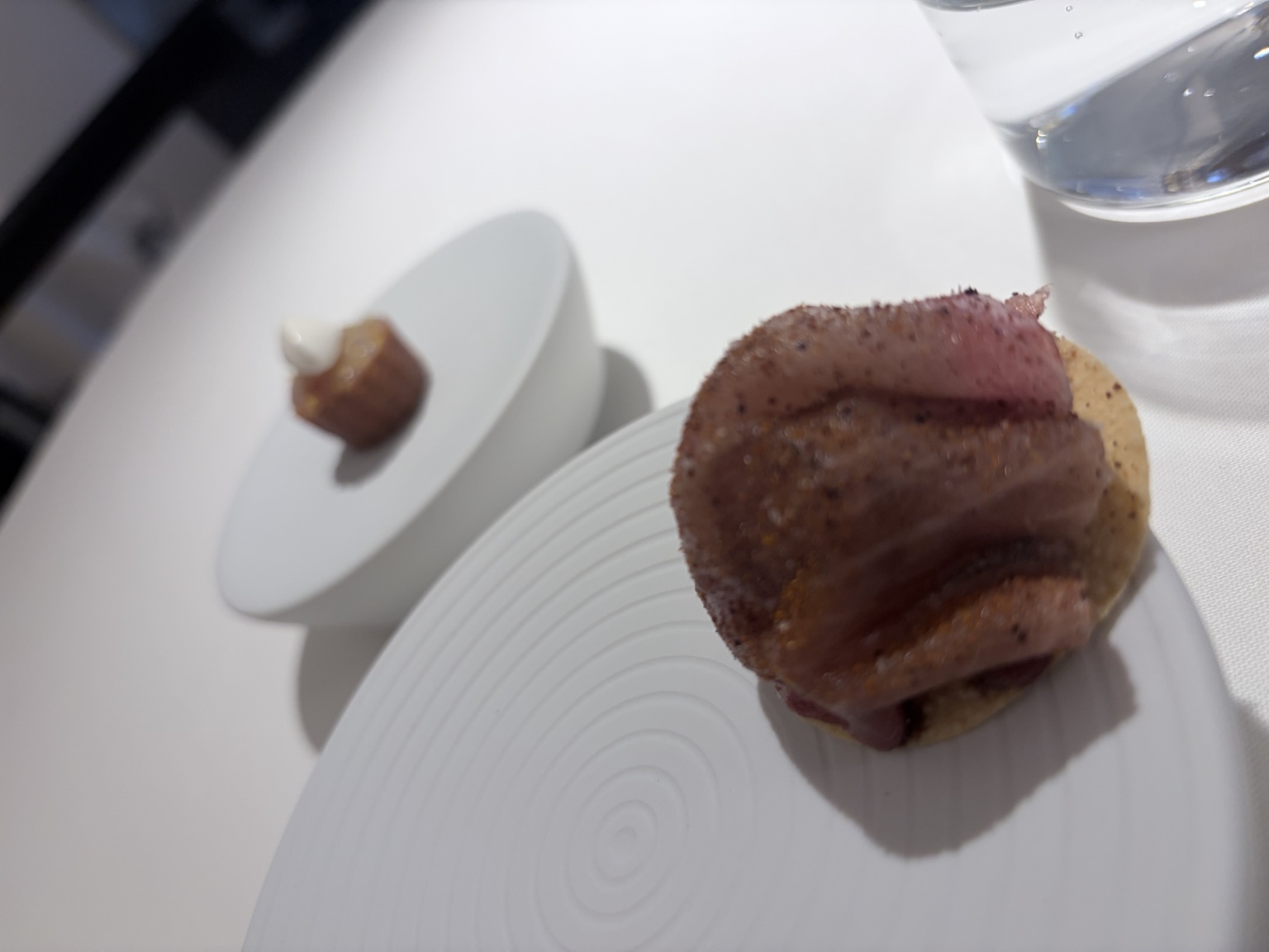 Gamba Roja de Palamos und Balfego Blue Fin