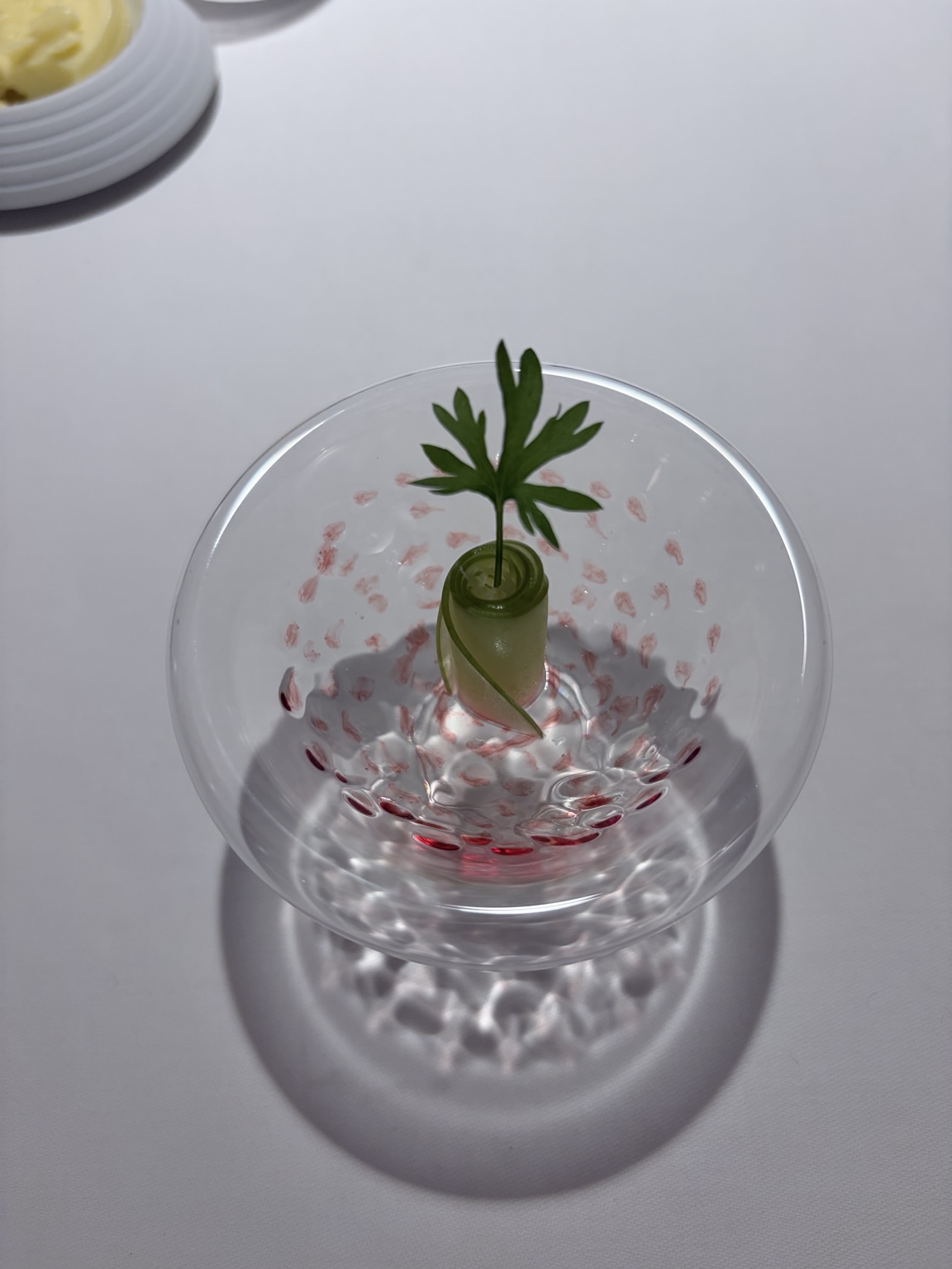 Erfrischung – Zwischengang im Glas