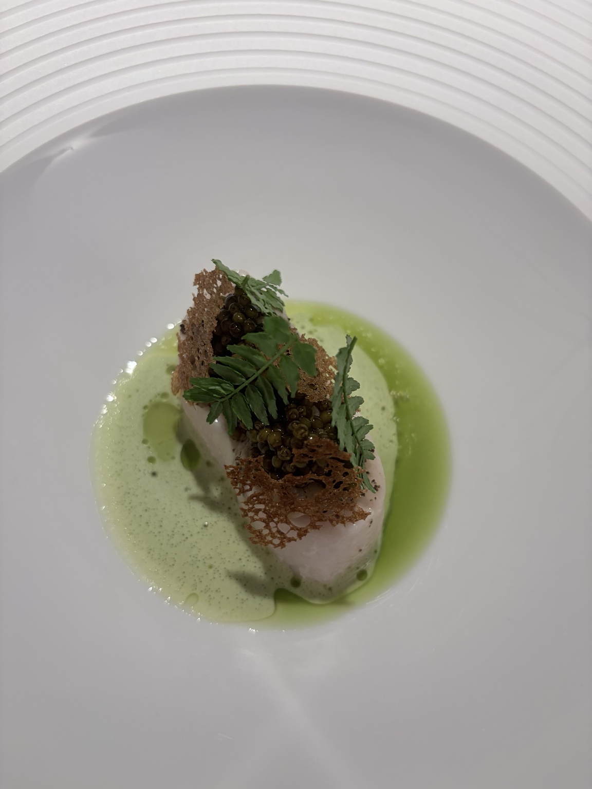 ② Stör – Cuisses de grenouilles, Liebstöckel und wilder Knoblauch