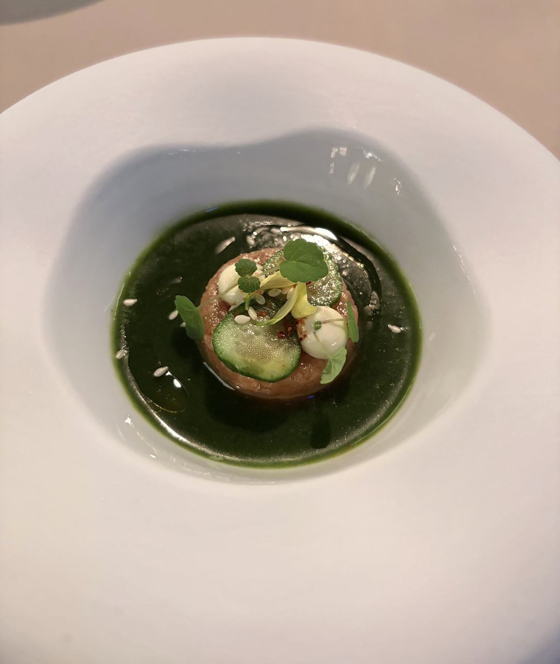 Ceviche von der Schwyzer Lachsforelle · Gurke · Asiatische Vinaigrette · Erdnuss