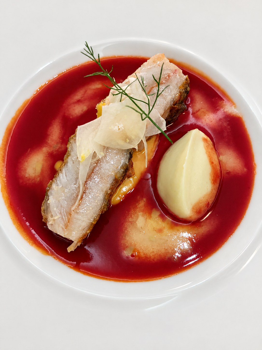 Rotbarbe · Tomate, Fenchel, Safran